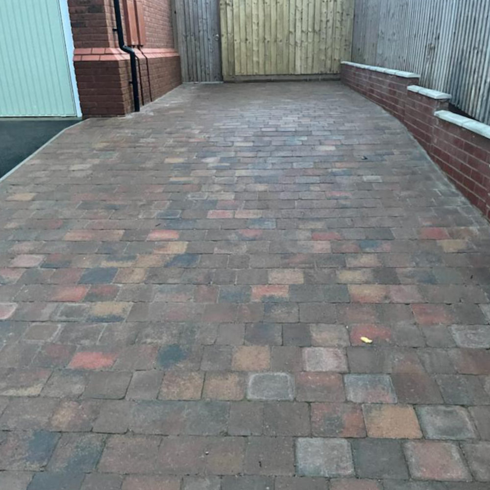 tegula_drive_03