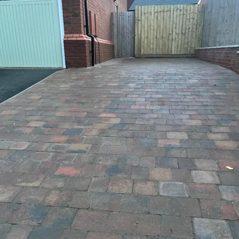 tegula_drive_05
