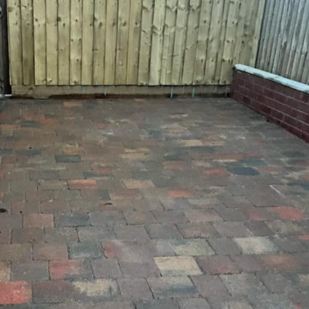 tegula_drive_08