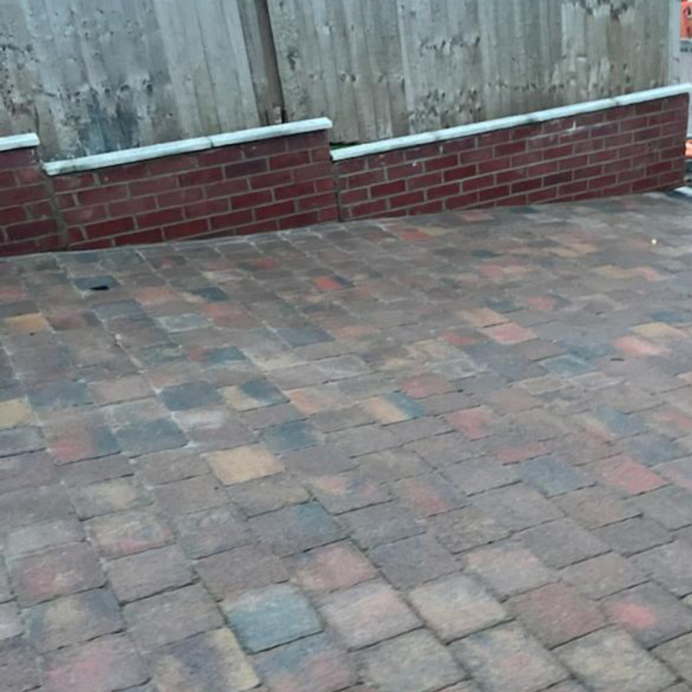 tegula_drive_09